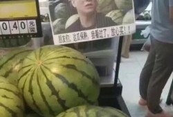 网红热瓜,揭秘网络红人的崛起与争议